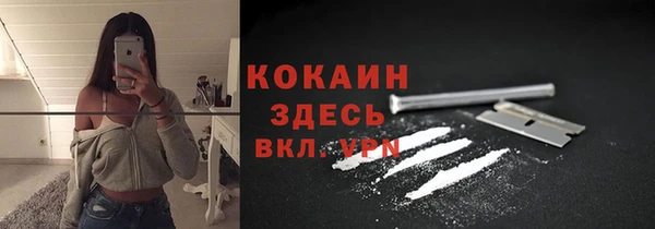 крисы Аркадак