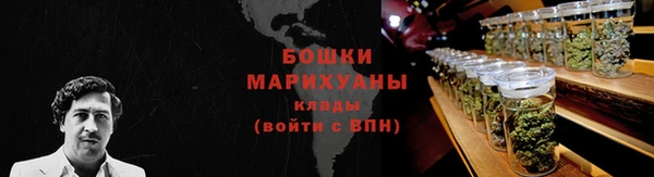 крисы Аркадак