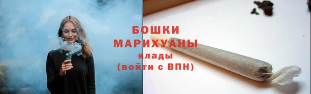 гидра Ельня