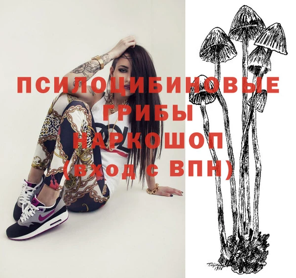 крисы Аркадак