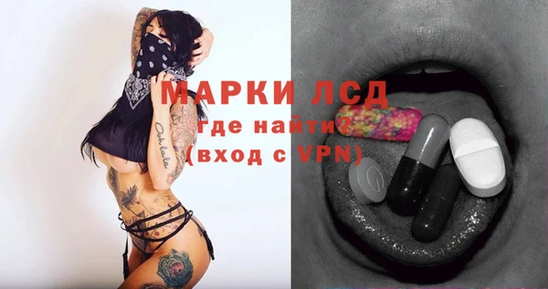 крисы Аркадак
